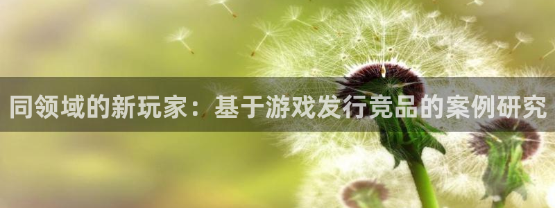 法国im电竞：同领域的新玩家：基于游戏发行竞品的案例研究