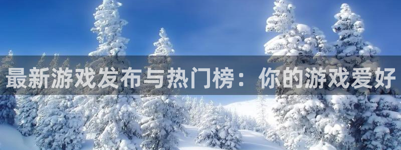 im电竞电子商务怎么样：最新游戏发布与热门榜：你的游戏爱好