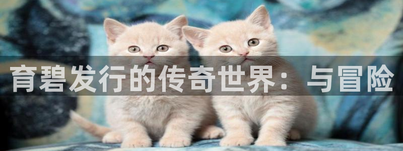 im电竞子上市了吗：育碧发行的传奇世界：与冒险