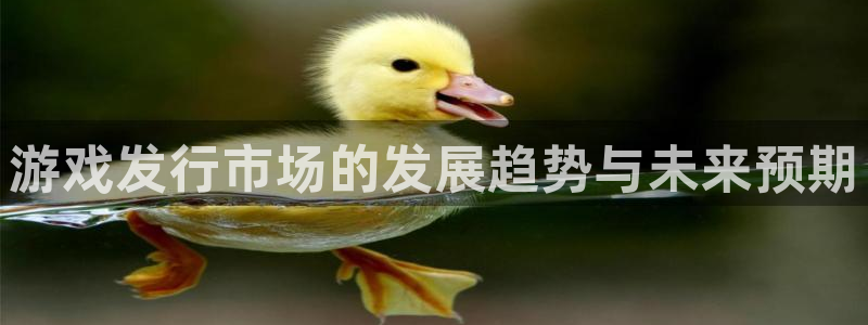 im电竞官网注册地址在哪里：游戏发行市场的发展趋势与未来预期