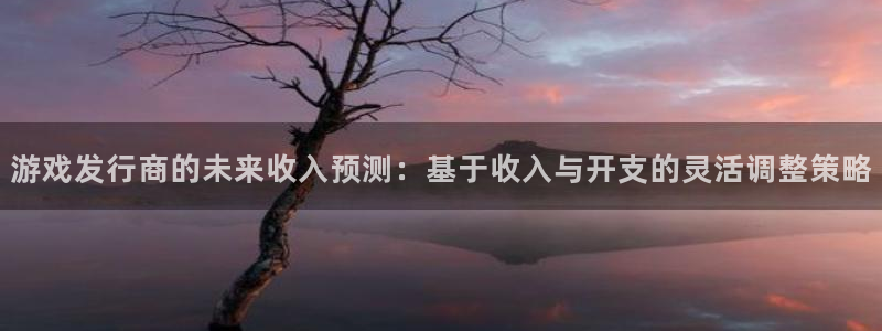 im电竞官网游戏平台介绍：游戏发行商的未来收入预测：基于收入与开支的灵活调整策略