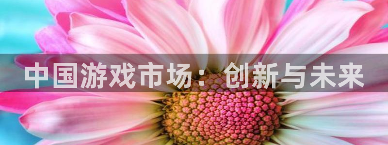 im电竞官网平台代理条件：中国游戏市场：创新与未来