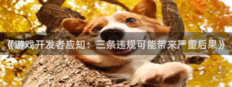 im电竞子图书：《游戏开发者应知：三条违规可能带来严重后果》