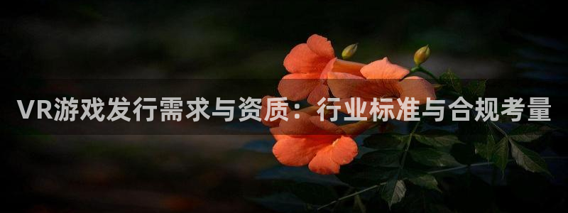 im电竞官网注册平台怎么样啊：VR游戏发行需求与资质：行业标准与合规考量