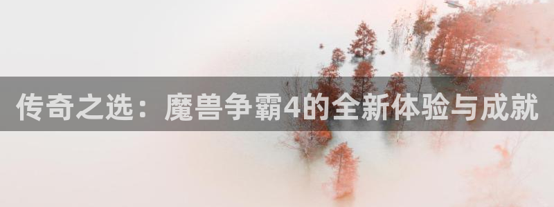 im电竞官网跑路了吗