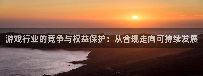 im电竞主管：游戏行业的竞争与权益保护：从合规走向可持续发展