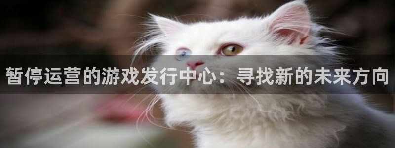 im电竞官网登录注册账号失败怎么回事：暂停运营的游戏发行中心：寻找新的未来方向