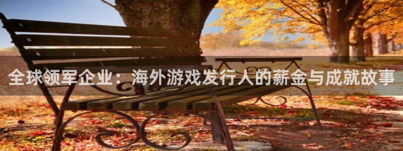 im电竞官网平台代理条件：全球领军企业：海外游戏发行人的薪金与成就故事
