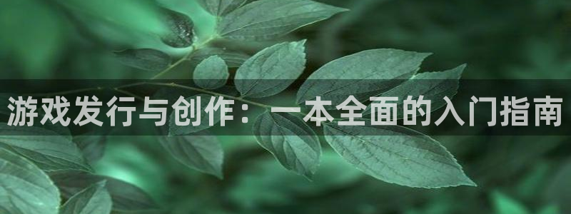 im电竞官网代理注册地址：游戏发行与创作：一本全面的入门指南