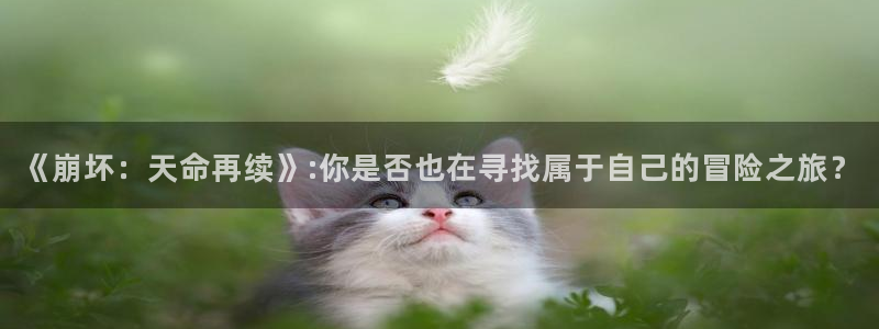 im电竞官网注册平台官网：《崩坏：天命再续》:你是否也在寻找属于自己的冒险之旅？
