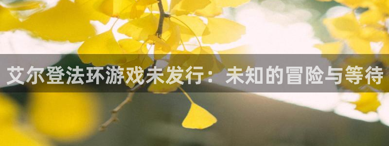 im电竞军团是哪个国家队：艾尔登法环游戏未发行：未知的冒险与等待