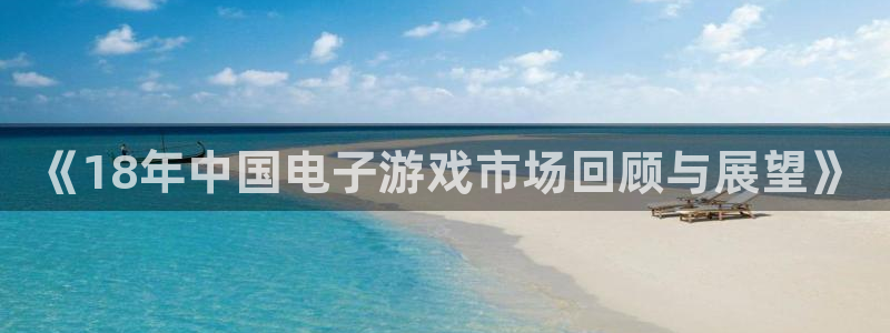 im电竞官网注册平台是什么公司：《18年中国电子游戏市场回顾与展望》