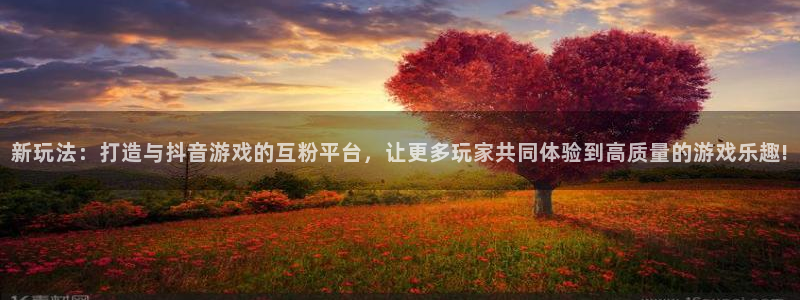 im电竞子上市：新玩法：打造与抖音游戏的互粉平台，让更多玩家共同体验到高质量的游戏乐趣!