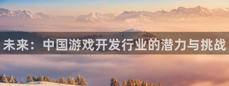 江苏im电竞智得新材料：未来：中国游戏开发行业的潜力与挑战