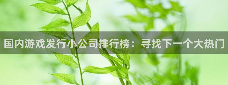 im电竞官网的钱能提出来吗