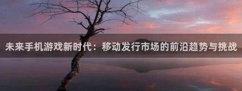 im电竞子公司怎么样知乎：未来手机游戏新时代：移动发行市场的前沿趋势与挑战