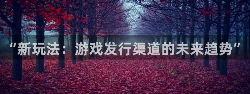 im电竞官网注册平台官网下载：“新玩法：游戏发行渠道的未来趋势”