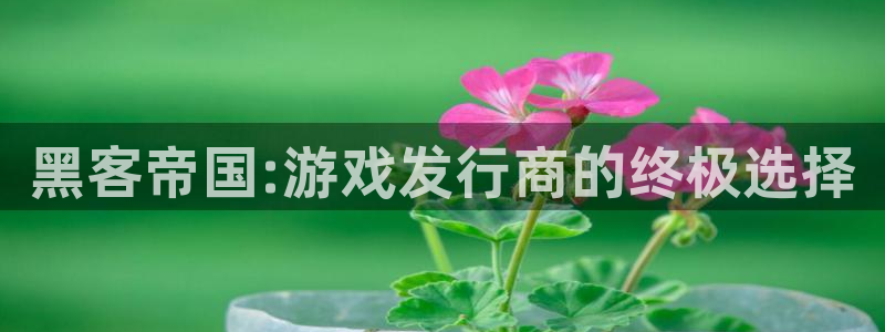 im电竞子图片：黑客帝国:游戏发行商的终极选择