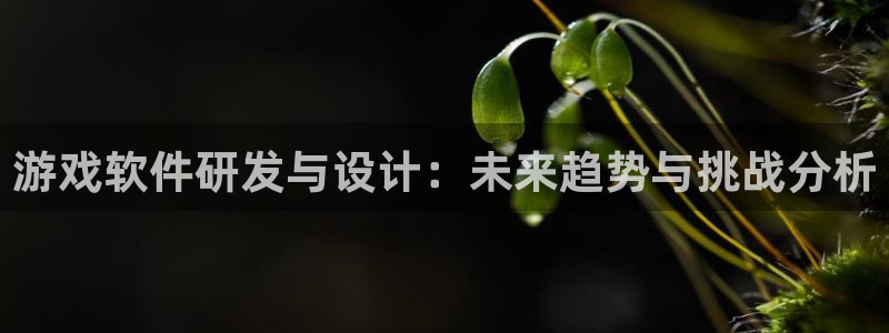 im电竞平台登录入口官网