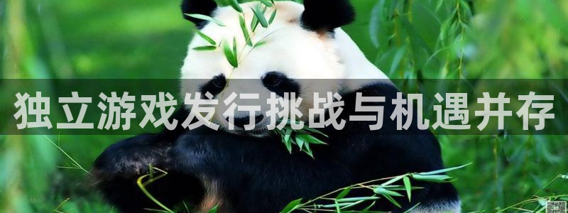 im电竞龙：独立游戏发行挑战与机遇并存